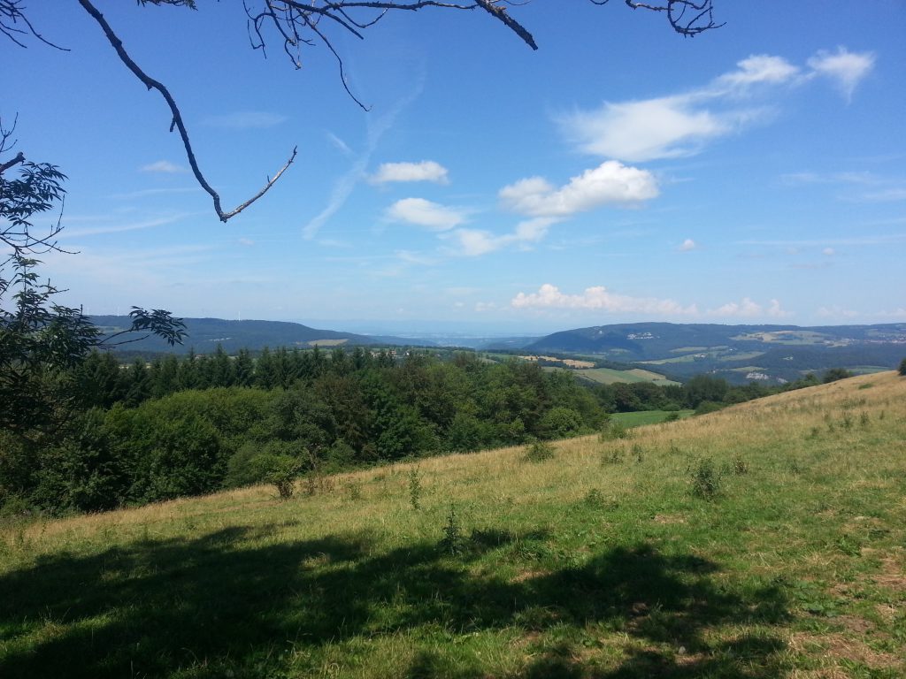 20160727_142608 la région de Montbéliard, au fond